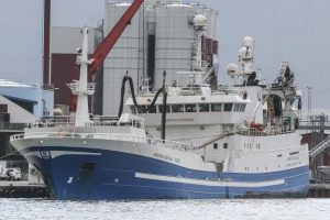 Færøerne: Havsbrún modtager blåhvilling fra fiskeriet øst for Færøerne. foto: Sverri Egholm