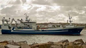 Færøerne: Blåhvillinge-sæsonen lakker mod enden