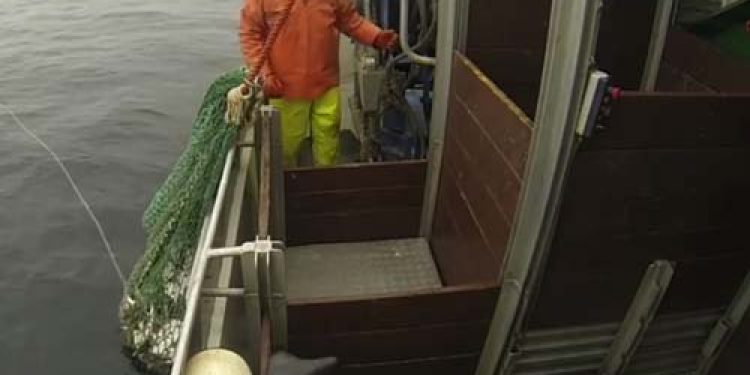 Nostalgisk slæb ved en god gammel fiskeplads ved Christiansø.  Foto: Claus S. Hansen om bord på R200 Cometen  - Fotograf: Cecilie Hansen