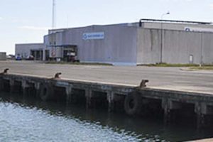 Danmarks største frysehuskoncern udvider på Hirtshals Havn.  Foto: Claus Sørensens frysehus på Hirtshals Havn
