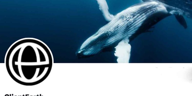 EU’s medlemslande må godt holde deres interne rapporter om fiskerikontrol hemmelige. Det har EU-Domstolen netop afgjort – til stor frustration for den britiske miljøorganisation ClientEarth, som ellers havde sagsøgt EU-Kommissionen for ikke at ville udlevere kontrolrapporter fra Danmark og Frankrig. foto: ClientEarth
