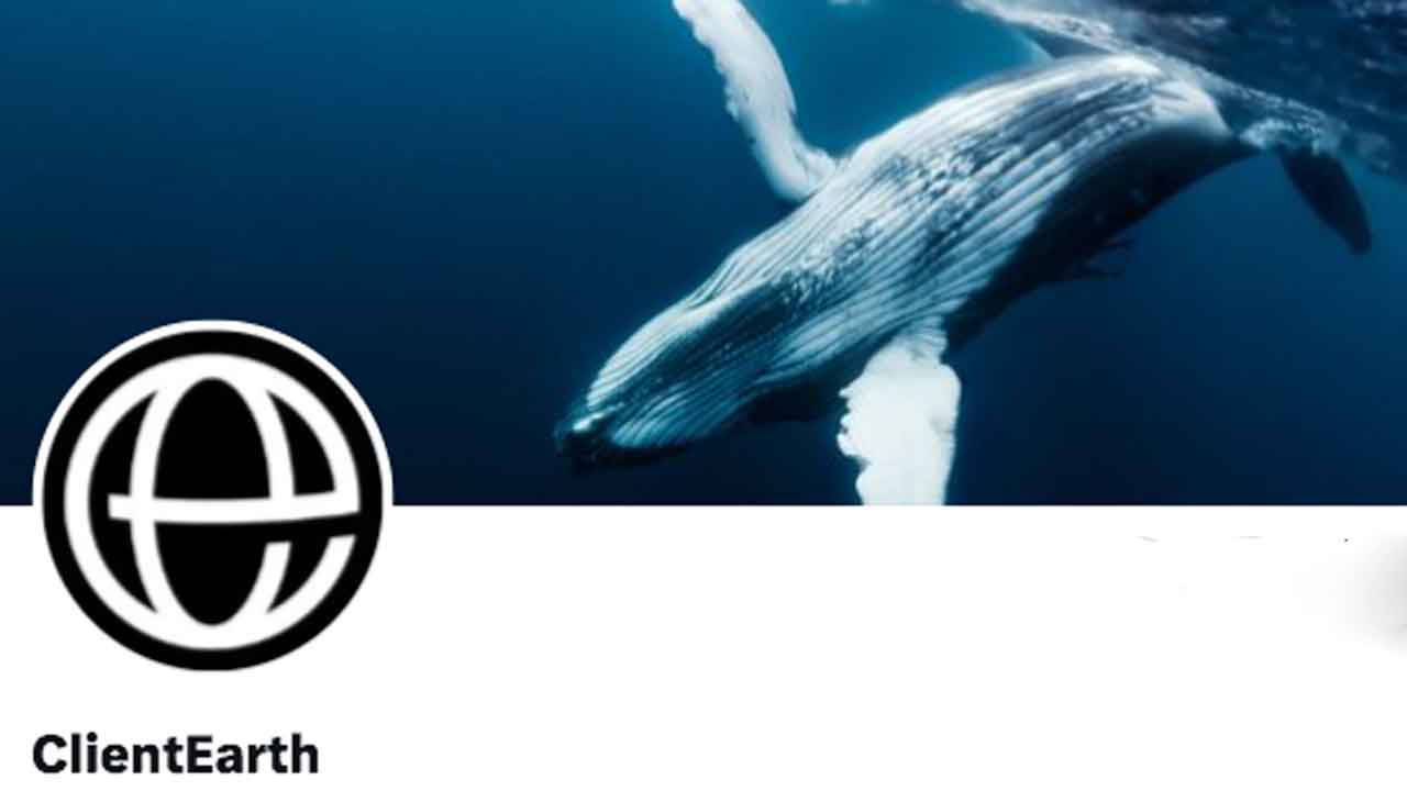 Read more about the article EU-domstol giver grønt lys til hemmeligholdelse af fiskerikontrol – britisk organisation får afslag