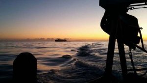 Rusland udfisker Østersøen, nu kræver EU-lande omgående sanktioner foto: CSH