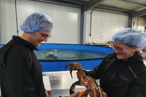 Hollandsk skaldyrsselskab certificeres efter ny international standard