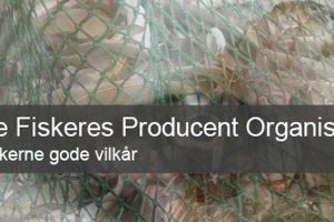 Danske Fiskeres Producent Organisationer ændre tilsvar for 2014.  Foto: DFPO