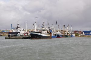 Nedgang i fiskeriet har påvirket Hvide Sande Havns årsresultat