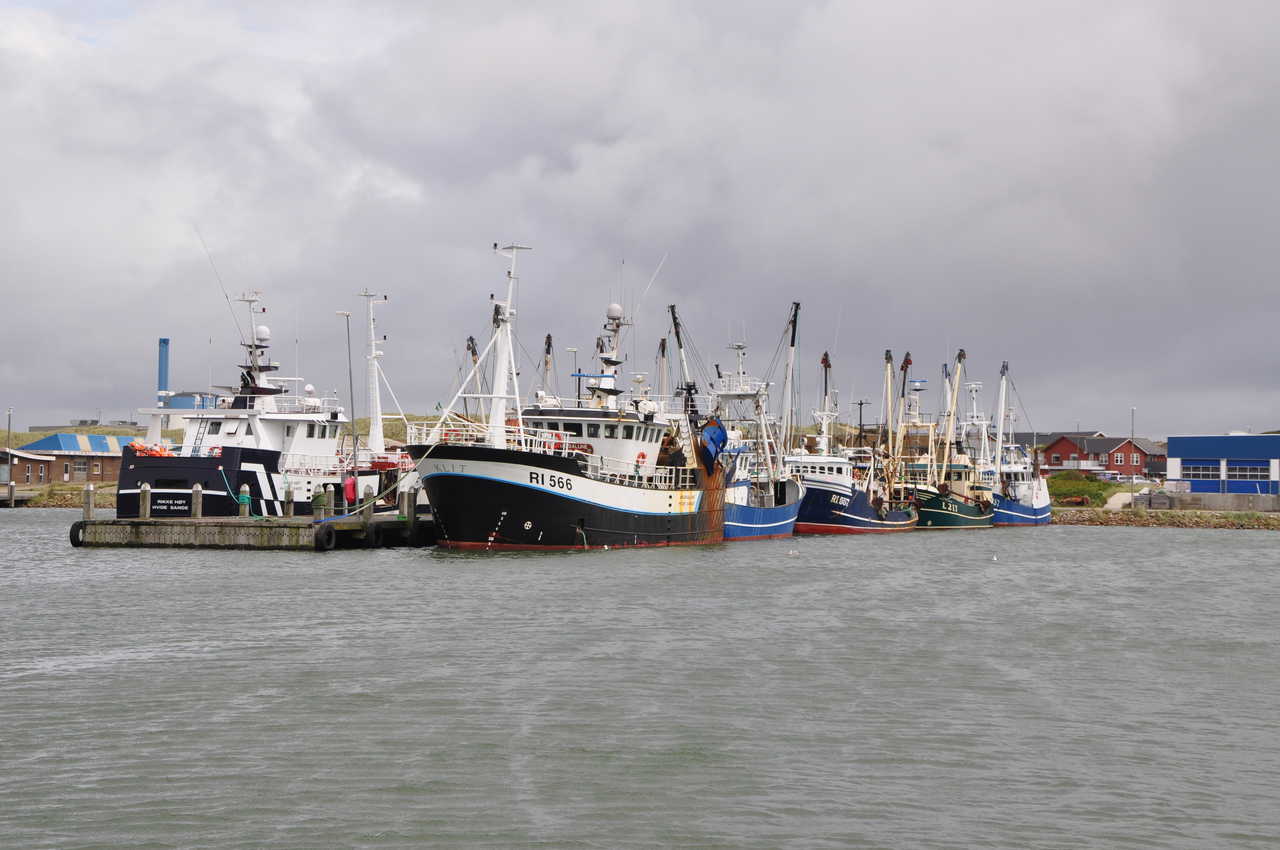 Read more about the article Nedgang i fiskeriet har påvirket Hvide Sande Havns årsresultat