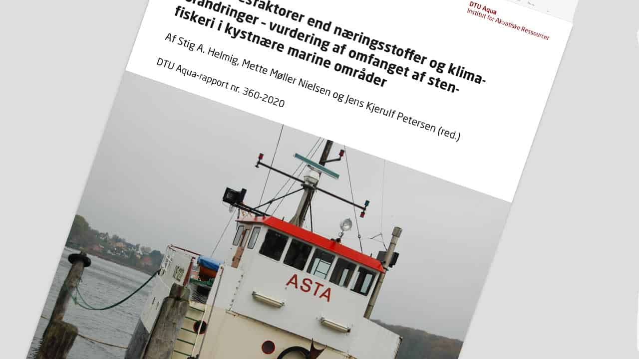 Read more about the article 100 års stenfiskeri har fjernet rev på størrelse med Fanø
