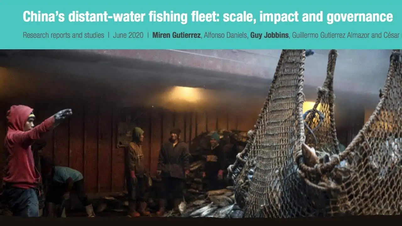Read more about the article Kinas havgående fiskerflåde – større end forventet