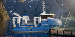 Damen SeV