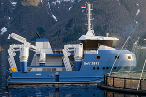 Damen SeV