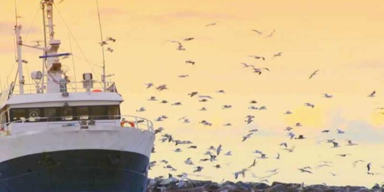 225 forskere og erhvervsfolk udveksler viden om miljøvenligt fiskeopdræt