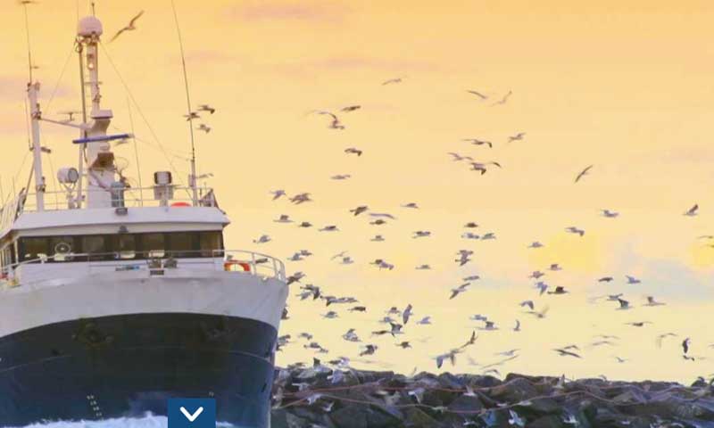 Read more about the article 225 forskere og erhvervsfolk udveksler viden om miljøvenligt fiskeopdræt