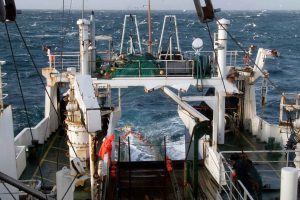 Fra 25. august til 12. september 2025 er forskningsskibet Dana tilbage på havet for at deltage i det årlige International Bottom Trawl Survey (IBTS). Togtet, som koordineres af Det Internationale Havundersøgelsesråd (ICES), har til formål at indsamle vigtige data om de mest betydningsfulde kommercielle fiskearter i Skagerrak og Nordsøen. foto: DTU Line Reeh