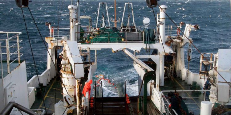 Fra 25. august til 12. september 2025 er forskningsskibet Dana tilbage på havet for at deltage i det årlige International Bottom Trawl Survey (IBTS). Togtet, som koordineres af Det Internationale Havundersøgelsesråd (ICES), har til formål at indsamle vigtige data om de mest betydningsfulde kommercielle fiskearter i Skagerrak og Nordsøen. foto: DTU Line Reeh