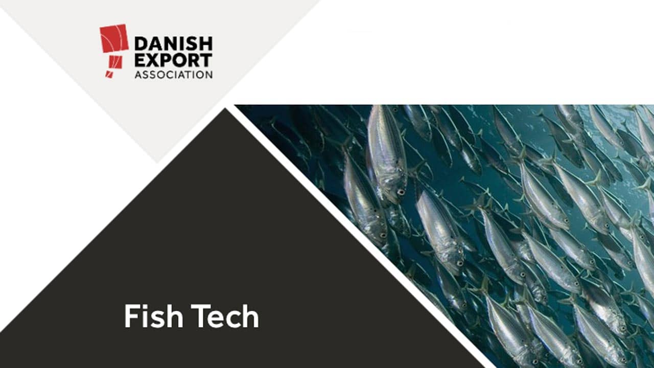 Read more about the article Netværksmøde i Danish Fish Tech Group med fiskeri som tema