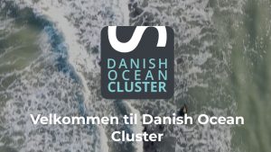 Det nystartede erhvervsnetværk Danish Ocean Cluster vil styrke de kommercielle relationer og skabe ny, innovativ forretning til gavn for de danske fiskerihavne og fremtidens fiskeri