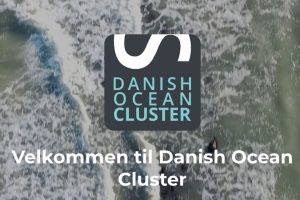 Det nystartede erhvervsnetværk Danish Ocean Cluster vil styrke de kommercielle relationer og skabe ny, innovativ forretning til gavn for de danske fiskerihavne og fremtidens fiskeri