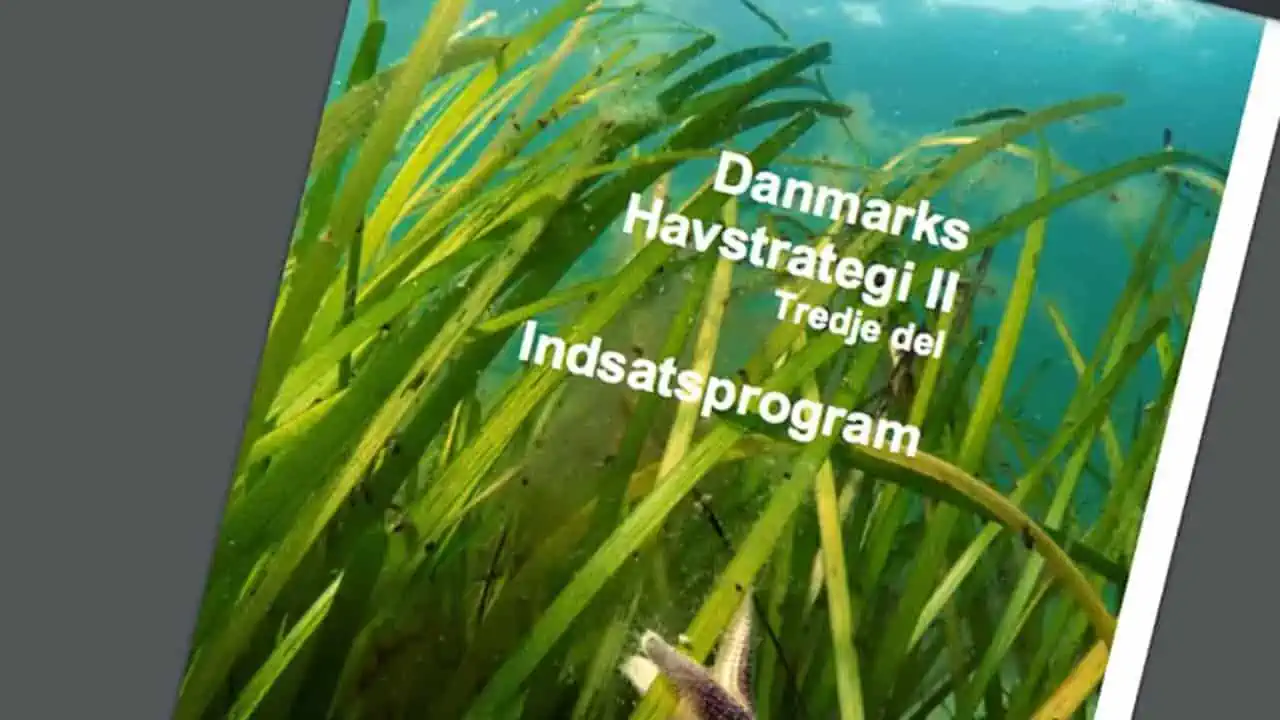 Read more about the article Hørrings-perioden for hav-strategiens indsatsprogram afsluttes i næste uge