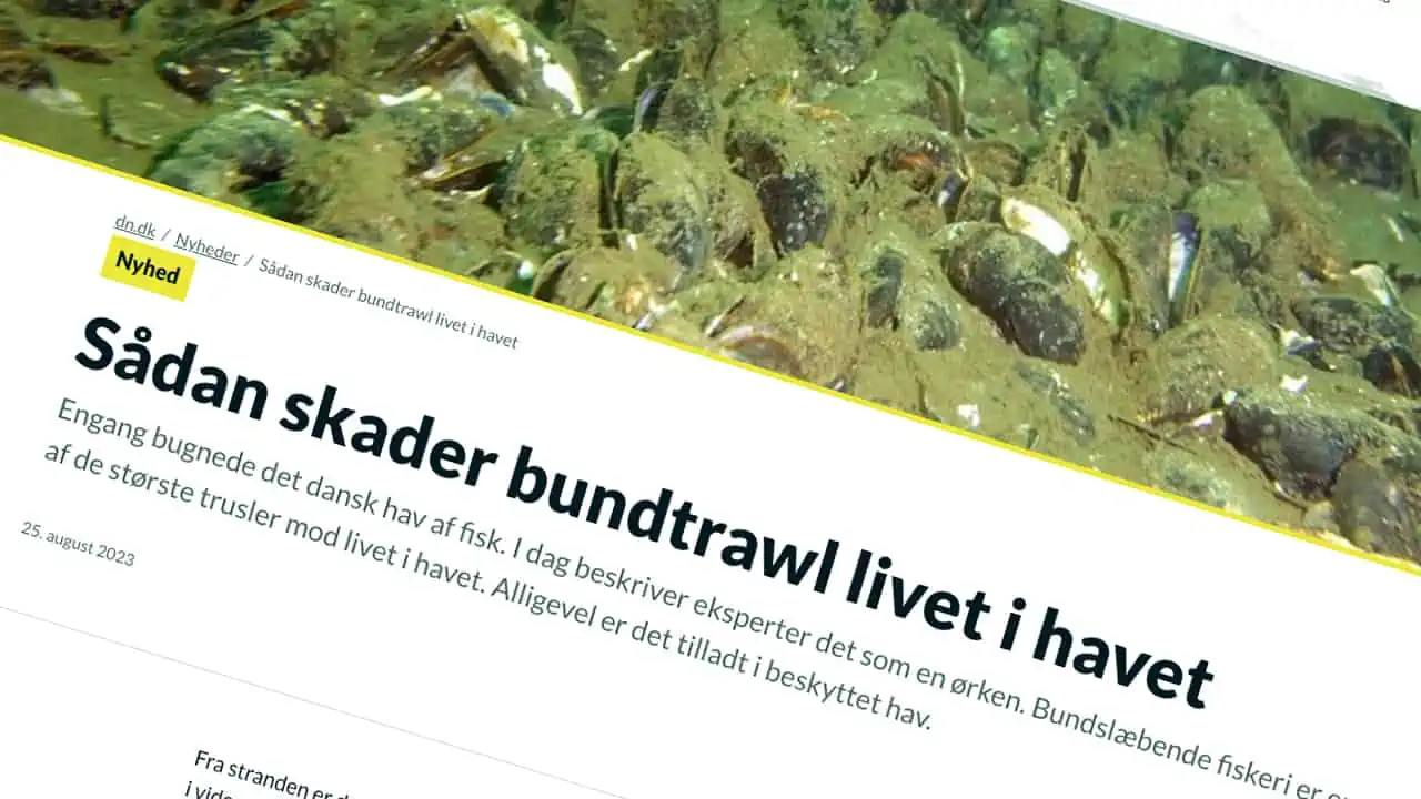 Read more about the article Nye tider for fiskeriet