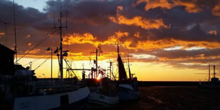 Ressourcerenteafgift og auktion på fiskerirettigheder manes nu endeligt langt ned under havoverfladen. foto: FiskerForum.dk
