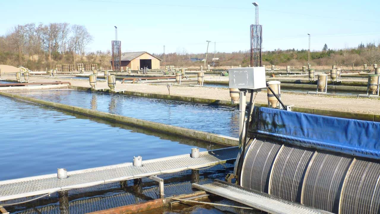 Read more about the article »Giv økologisk akvakultur ordentlige rammevilkår«!