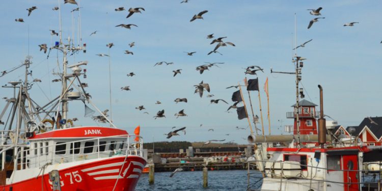 DFPO ser frem til arbejdet med Fiskerikommissionens anbefalinger foto: Fiskerikommissionens raport