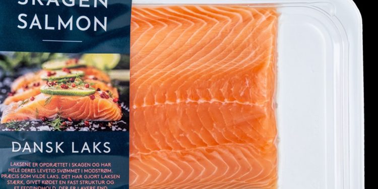 Skagen Salmon’s lakseprojekt lider tab arkivfoto