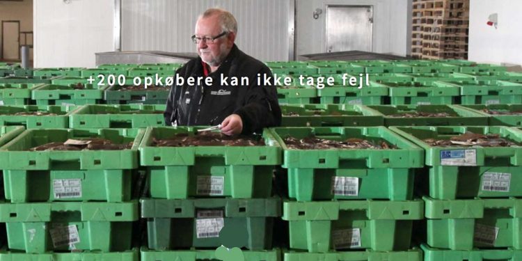 Ansatte ved fiskeauktion går 20 procent ned i løn