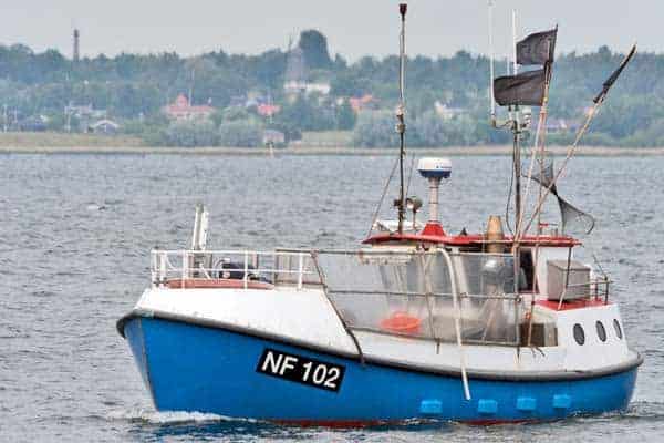 Read more about the article Opfordring til fiskerne, tag Kamera og pinger med på fiskeri i område 24 Østersøen