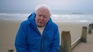 Senest har Max Mossler sat fokus på David Attenboroughs nyeste dokumentar-film »Ocean«  foto. youtube