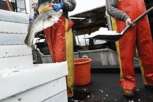 Kystfiskerne inviterer til debat-møde om »Det skånsomme Østersø-fiskeri«.