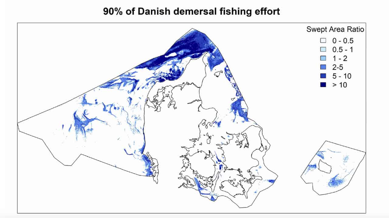 Read more about the article DSF ønsker Dansk erhvervsfiskeri efter jomfruhummer og muslinger nedlagt