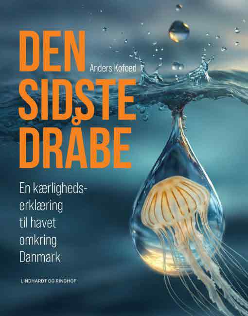 Read more about the article Den britiske Lyme Bay-illusion: Hvorfor en hurtig snuptagsløsning ikke kan redde de indre danske farvande