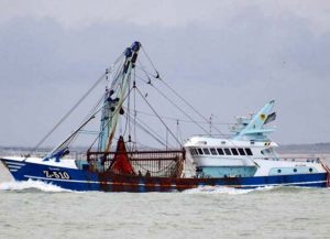 Folketingets Ombudsmand bringes nu i spil omkring bomtrawl og fiskerikontrol  arkivfoto: »Dennis« - Ronald Ribbe