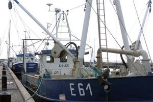 For år tilbage har E4 ”Ho Bugt” udnyttet muligheden og er startet op i hesterejefiskeriet. Og nu følger E61 ”DI-JE” trop