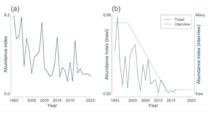skema over udviklingen af polartorsk - DTU
