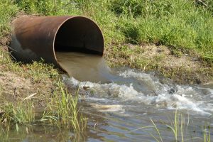 Miljøstyrelsen i hokus-pokus med kvælstof-forurening - årtiers spildevandsudledninger syntes nærmest tryllet væk arkivfoto: Wikip