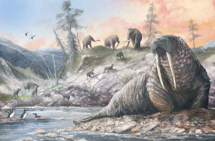 Read more about the article Havbunden gemmer en glemt verden – men nyt DNA-studie afslører livet i Doggerland