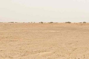 Landbaseret Fiskeopdrætsanlæg opføres i Dubai´s ørkensand. Foto: Når to modsætninger mødes - ørkensand og fiskeopdræt - Graakjaer