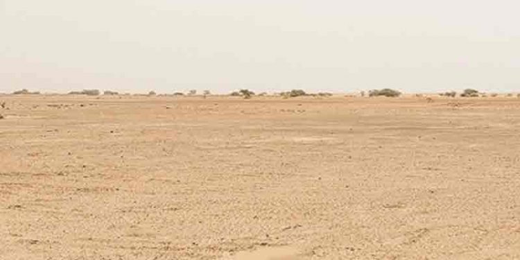 Landbaseret Fiskeopdrætsanlæg opføres i Dubai´s ørkensand. Foto: Når to modsætninger mødes - ørkensand og fiskeopdræt - Graakjaer