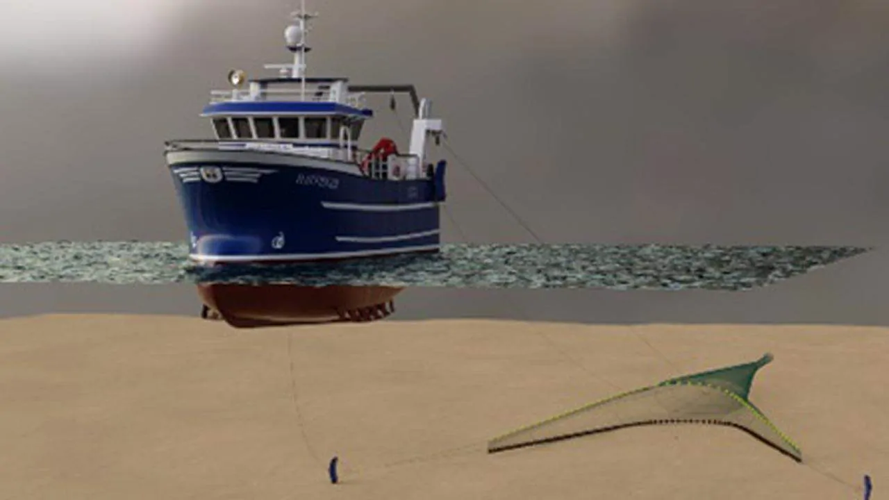 Read more about the article Digitalt Live-tv fra havbunden – skal gøre trawl-fiskeriet mere bæredygtigt