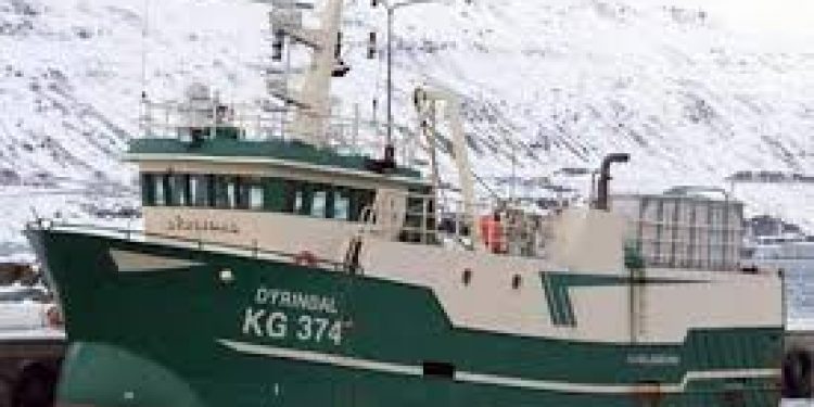 Færøerne: kronerne ruller fortsat i færøsk fiskeri foto: Dyrindal -