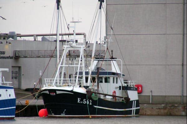 Read more about the article Esbjerg fiskere vil sende rejer på auktion i Holland.