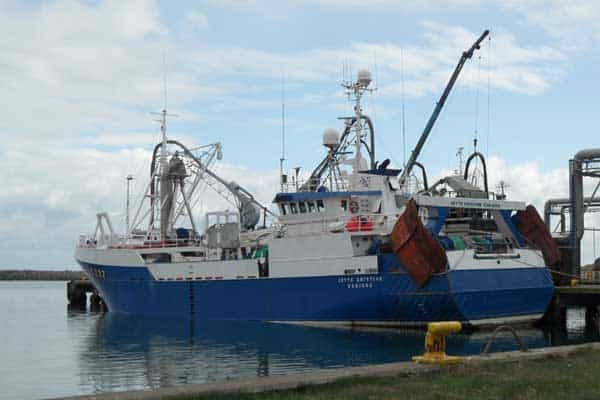 Read more about the article Pæne landinger af industrifisk i Thyborøn