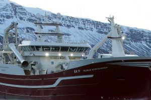 Island: Loddesæsonen er forbi, nu rigges der om til blåhvilling foto: Samherji