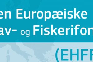Tilskud fra »Det Danske Hav- og Fiskeriudviklingsprogram 2017«