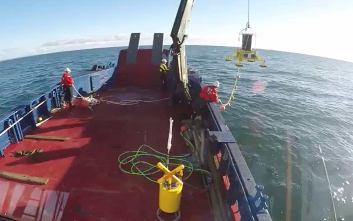 Read more about the article DTU undervands-robot filtrerer for fiske-DNA spor i havet