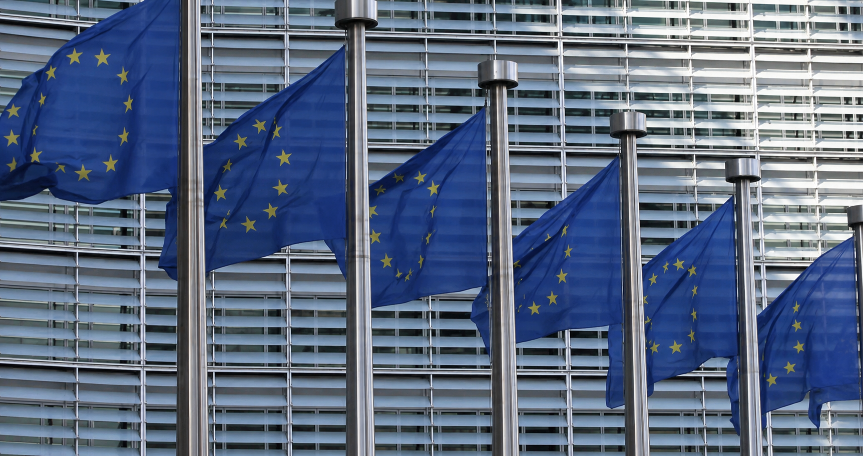 Read more about the article EU-Kommissionen med ny protein-strategi – skal mindske afhængigheden af import