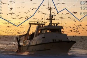 EU Fish Market 2021-udgaven er nu online